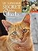 Langage secret des chats (le) by