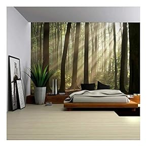 A Landscape Mural of The Sun Peaking Through The Trees in a Forest - Wall Mural, Removable Sticker, Home Decor - 66x96 inches