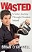 Wasted: Sober in Ireland: A Sober Journey Through Drunken Ireland by