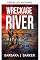 Livro Rio de destroços (Série Destroços Livro 2)