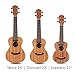 Donner Soprano Ukulele Beginner Kit Mahogany Professional 21 inch Ukelele Online Lesson Gig Bag Strap Nylon String Tuner Picks Cloth DUS-1 Ukalalee Set