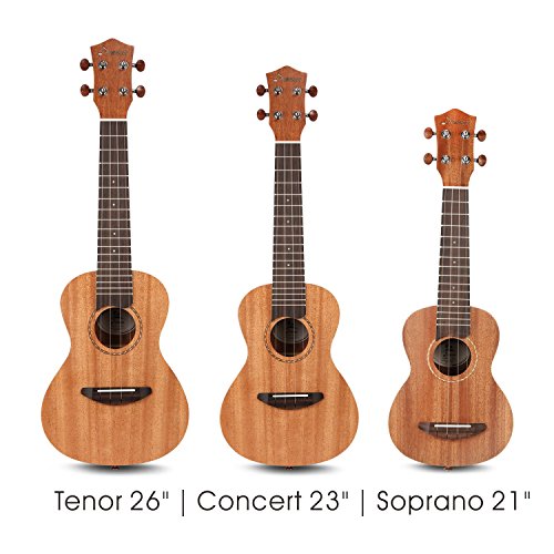 6 Donner+Soprano+Ukulele+Mahogany+21