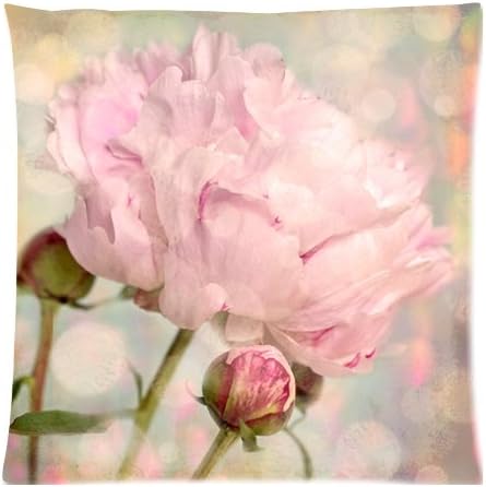 The New Arrive 2015 Nature Peony Flower Bud Pink Shabby Chic Pillow Cases - 18x18