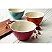Rachael Ray Accessories Kitchen Pantryware Multi Purpose/Salad Serveware/Melamine Garbage Bowl, Cranberry Red