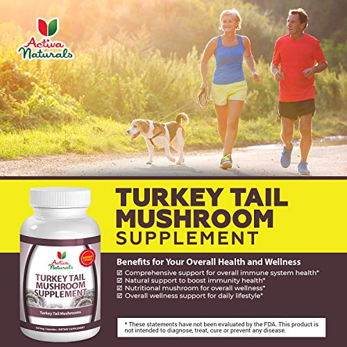 Turkey Tail Mushroom Supplement 120 Veg. Capsules with Coriolus