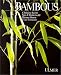 Bambous by
