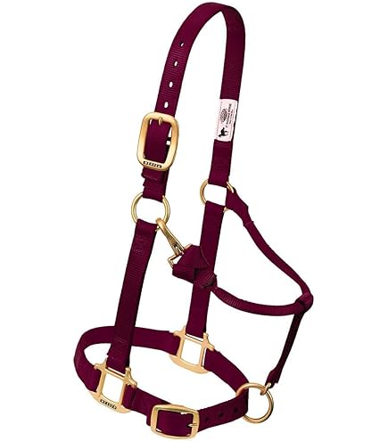 thumbnail image 2 of Weaver POLY COWBOY LEAD ROPE WITH SNAP - 5/8" X 10' | WRS 2 of 11