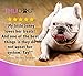 Halo Raw Freeze Dried Dog Treats, Beef Recipe, Dog Treats Pouch, All Life Stages, 2.5-OZ Pouch