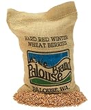 Wheat