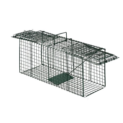 Pet Trex Dual Door Live Animal Trap Racoon Skunk Cat Traps, 26" - Buy