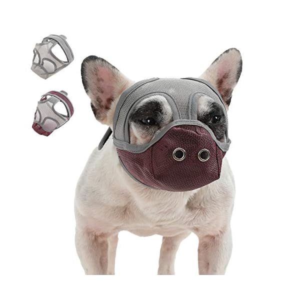 muzzle suitable for boxer