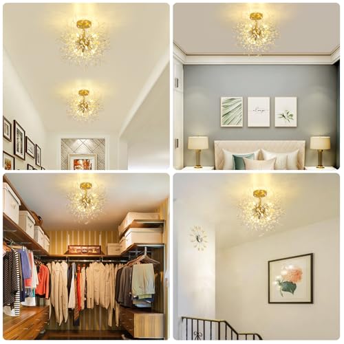 Rayofly Modern Crystal Ceiling Light, Fireworks chandelier, Golden ceiling lights, dimmable Pendant Light, 8 G9 Luminaire, Lamp For Living Room, Bedroom, Dining Room, Kitchen, Hallway