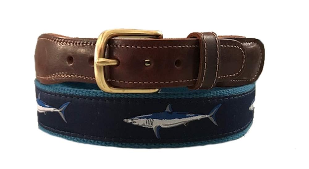 Which Is The Best Eureka Shark Vacuum Series 430 Belt