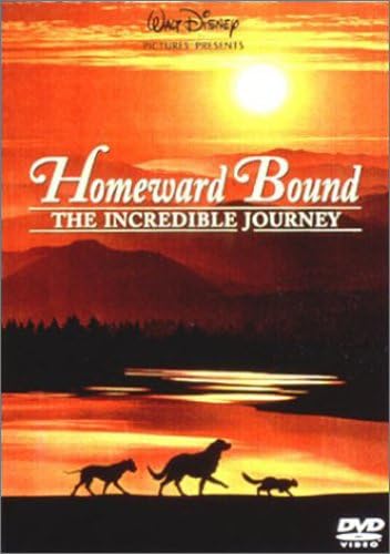 Amazon 奇跡の旅 Dvd 映画