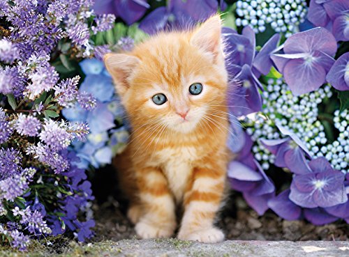 Clementoni "Ginger Cat In Flowers " Puzzle (500 Piece)