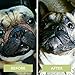 Natural Dog Company Wrinkle Balm (2-oz tin) | Healing and Soothing Balm | All-Natural and Organic | Vegan and Veterinarian-Approved | for Face Wrinkles and Skin Folds | Ideal for Bulldogs and Pugs