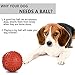 Dog Squeaky Toys Jakpak Durable Rubber Squeaky Ball for Dogs Non Toxic Silicone Chew Resistant Fun Toy with Quack Sound Floatable Dog's Sound Toy for Animal Training Biting Outside Playing,Red