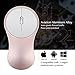 2.4GHz Mini Wireless Mouse Silent Click Compact Soundless Optical Mice with Nano USB Receiver for Laptop PC and Mac (Rose Gold)