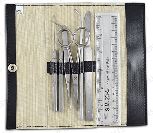 Introductory Anatomy Dissecting Kit - Thumbnail 2