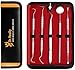 Dental Tools to Remove Plaque and Tarter Dental Picks Professional Dental Hygiene Tools Dental Hygienist tools Instruments Stainless Steel