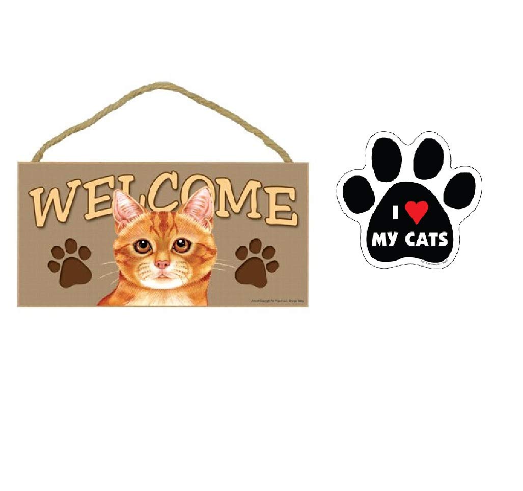 The 9 Best Magnets For Refrigerator Orange