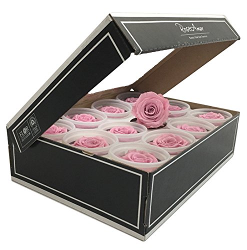 Preserved roses 12 pack small head roses color pink