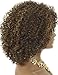 Kalyss Brown with Blonde Highlights Short Afro Kinky Curly Wigs for Black Women Premium Synthetic Hair Wigs with Hair Bangs 150% Density Bouncy and Full Natural Looking Hair Wigs
