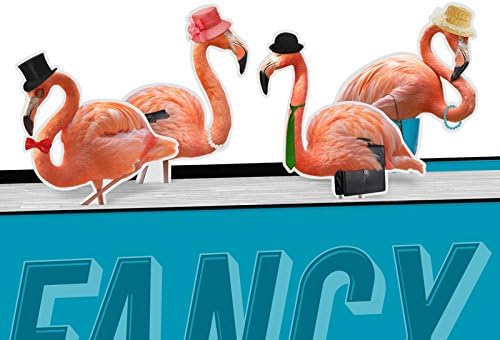 Magnetic Bookmarks - Fancy Flamingos