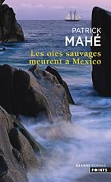 Les  oies sauvages meurent à Mexico