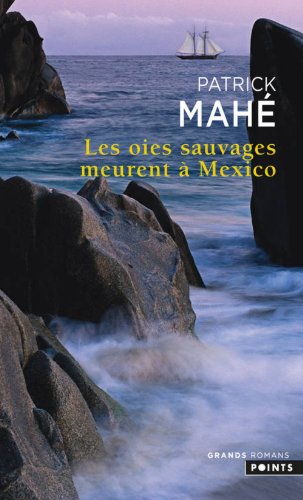 Les  oies sauvages meurent à Mexico