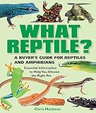 What Reptile?: A Buyer's Guide for Reptiles and Amphibians by