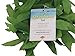 Novelty Tropical Green Pot Marijuana Leaf Fern Lei