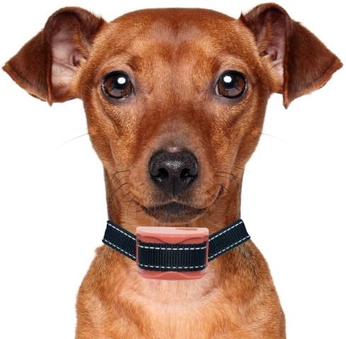 "BRAND NEW MODEL" - Our K9 "SPICE" - SMALL to MEDIUM DOGS - Sound, Vibration &amp; Static Shock - RECHARGEABLE - Waterproof - CAN ONLY BE USED WITH OUR "CINNAMON" REMOTE TRAINING COLLAR