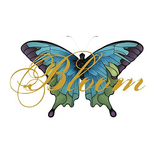 Sarah McLachlan - Bloom Remix Album By Sarah Mclachlan (2006-08-02) - Zortam Music