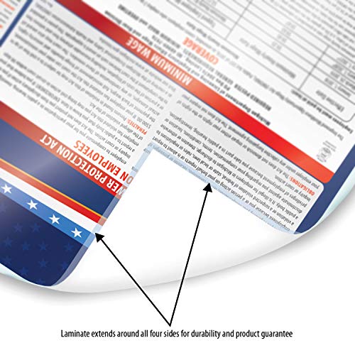 2020 Texas State and Federal Labor Laws Poster OSHA Workplace