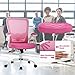 Office Chair Desk Chair Computer Chair Back Support Modern Executive Mesh Chair with Adjustable Armrest Rolling Swivel Chair for Home&Office, Pink