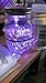 Purple JellyBeadz Brand Waterpipe Expanding Water Beads- 10 Gram Pack