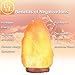 Himalayan Salt Lamps with Wood Base, Cozyswan Glow Hand Carved Natural Crystal Rock Salt Night Light with UL Listed Plug,Amber, 7 - 9-Inch for Lighting, Decoration and Air Purifying