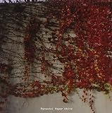 PAPER WHITE (EP)                                   image