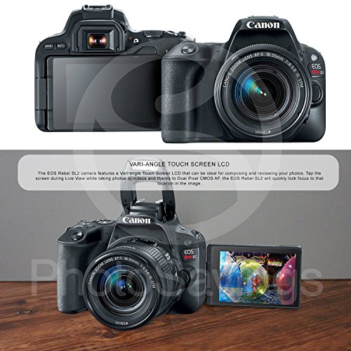 Canon-EOS-Rebel-SL2-DSLR-Wi-Fi-Camera-with-EF-S-18-55mm-STM-Lens-Black-Bundle-w-Flash-Remote-Lenses-Filters-32GB-Backpack-Xpix-Tripods-Cleaning-Kit