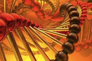 Livro Raio-X da História - Uma proposta para a aplicação da metodologia da Genealogia Genética à pesquisa histórica