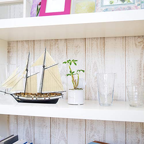 5 Aissimio+Assembly+Classical+Decoration+380x130x270mm