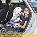 Trio Gato Dog Car Backseat Cover, Heavy Duty Pet Hammock, Large Side Flaps. Full Car/SUV Protection - Doors, Backseat & Floor - Waterproof, Nonslip, Washable, Bonus Lint Roller & Dog Seat Belt