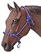 Tough 1 Knotted Rope & Twisted Crown Training Halter, Royal Blue