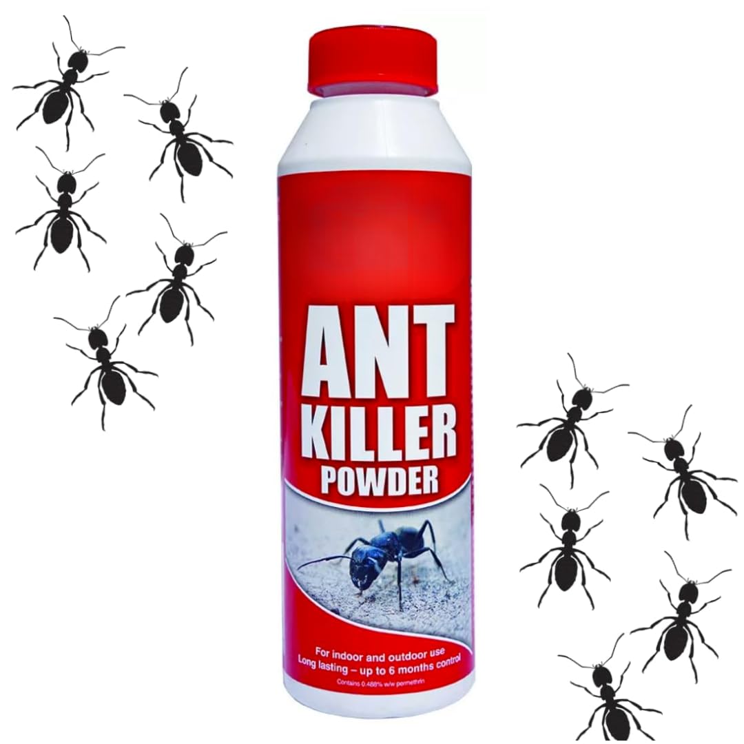 Citystores® 500g Ant Powder | Indoor & Outdoor Use | Effective Ant Killer & Insect Control