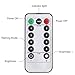 echosari 100ft/30m Warm White 300 LED Outdoor & Indoor Battery Fairy Lights w/Remote & Timer, Waterproof (8 Modes, 4 x AA Batteries, Dimmable, Clear Cable)