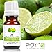 Lime Essential Oil 10 ml (0.33 fl. Oz.) - GCMS Tested, 100% Pure, Undiluted and Therapeutic Grade