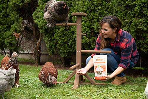 Chicken Portable Double Roosting Perch - Small