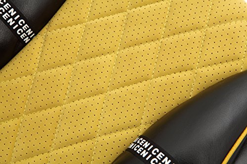 SOJOY Lumbar Pillow SPELL VERSATILE Car Seat Cushion (black)