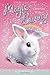 Chocolate Wishes #1 (Magic Bunny)